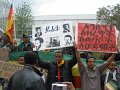 demo7