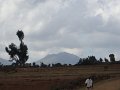 DSC01107-1