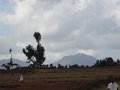 DSC01108-1