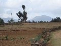 DSC01112-1